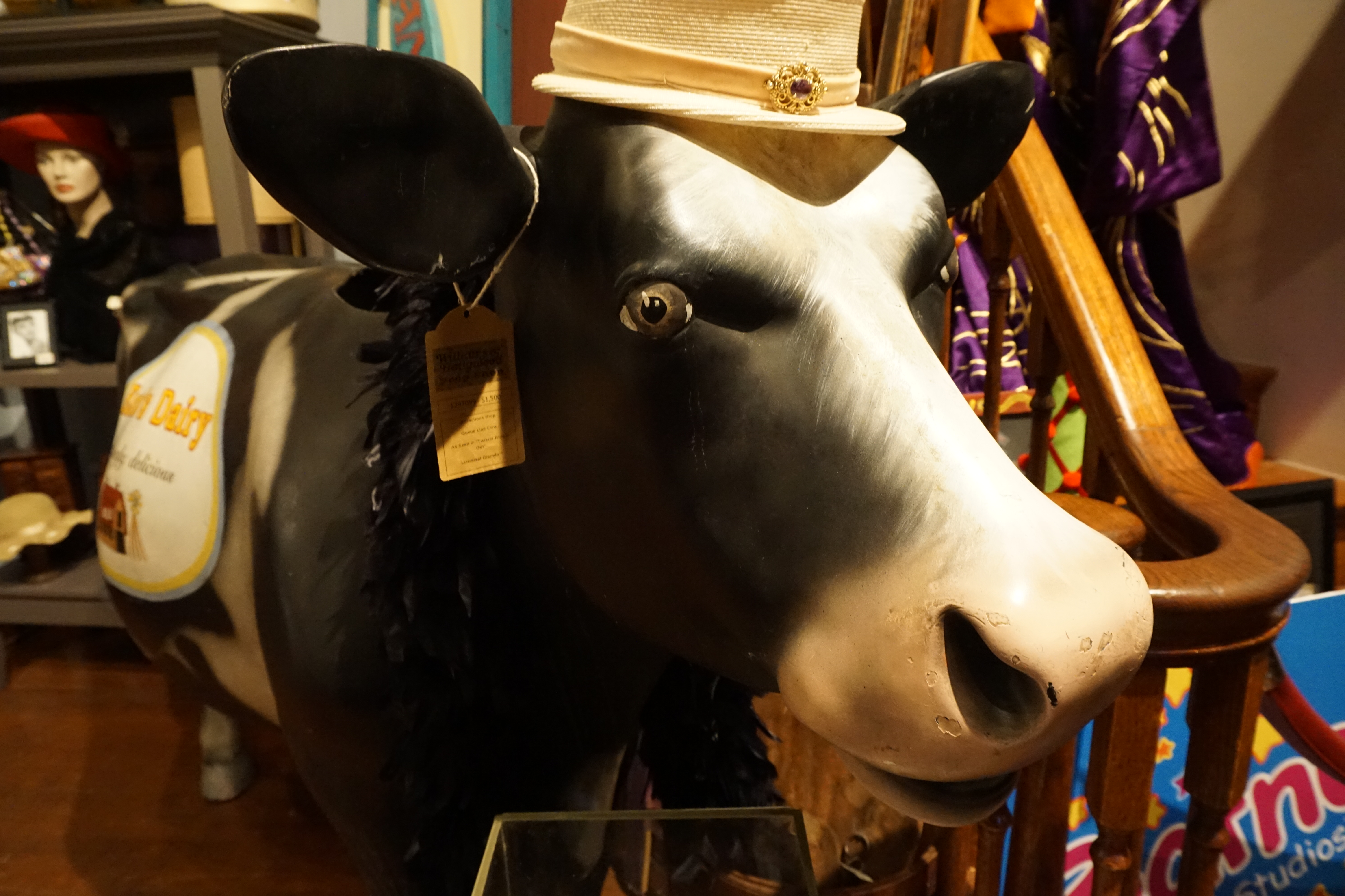 Cow prop at Williams of Hollywood Prop Shop at Universal Studios Orlando - by unofficialuniversal.com.